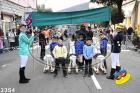 2354.jpg