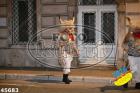 45683.jpg