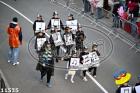 11535.jpg