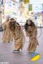06385.jpg