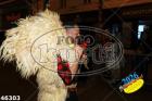 46303.jpg