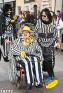 19772.jpg
