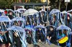 dj%20ri%2001190.jpg