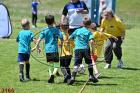 3165.jpg