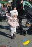 dj%20ri%2005279.jpg